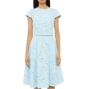 Ted Baker Quinia Blue Floral Jacquard Crop Top & Floral Burnout Circle Skirt Set